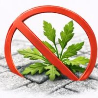 pas mauvais herbes